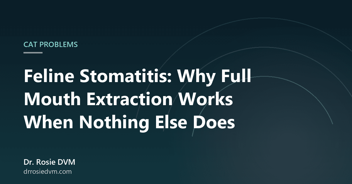 Feline Stomatitis: Why Full Mouth Extraction Works When Nothing Else Does