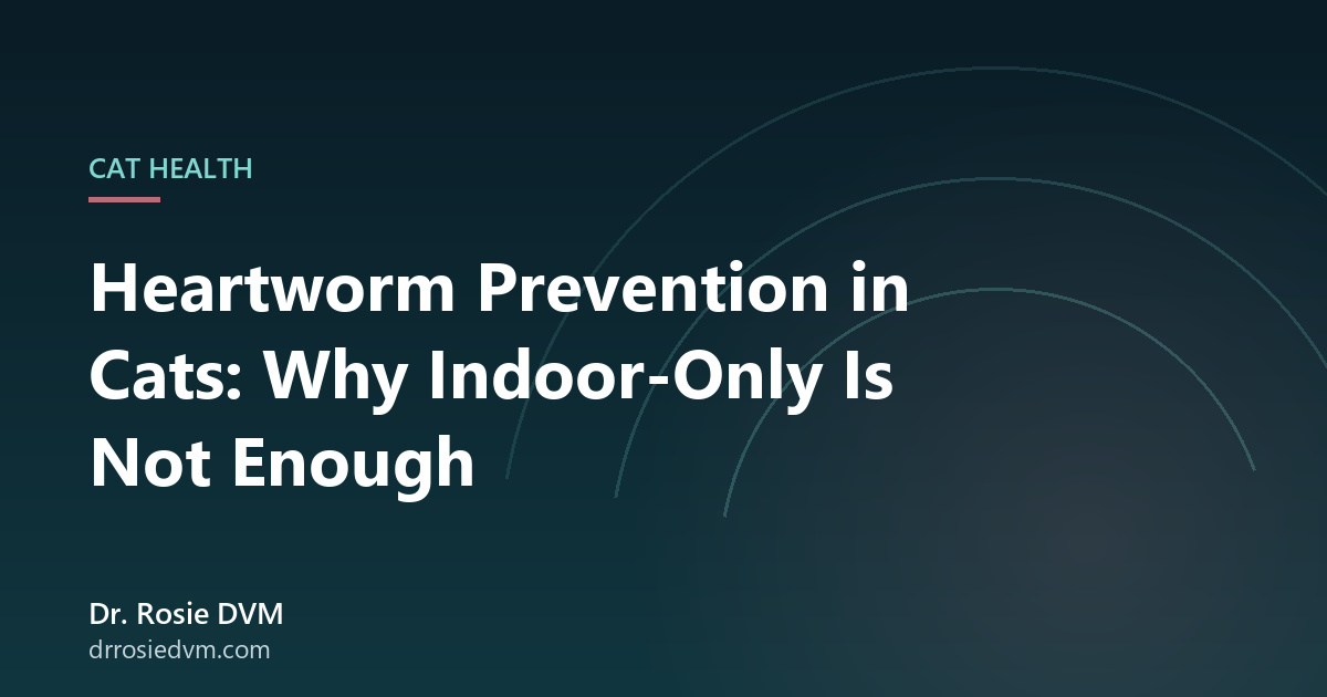 Heartworm Prevention in Cats: Why Indoor-Only Is Not Enough