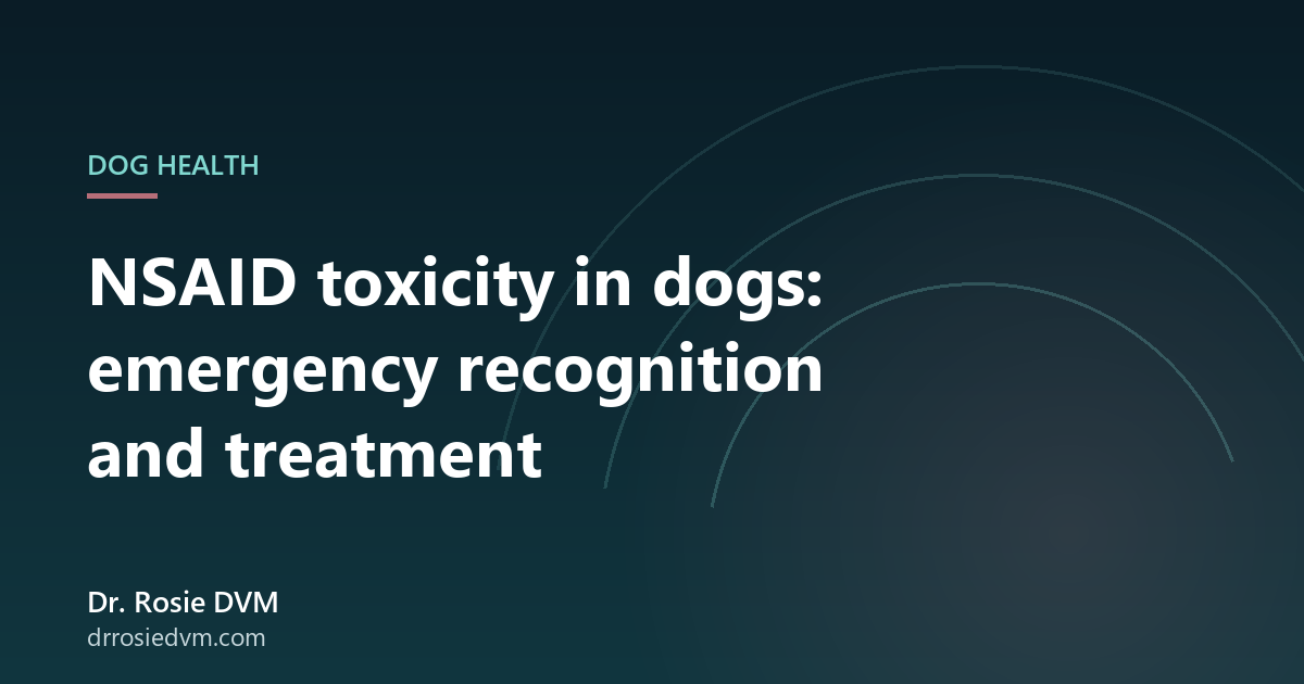 NSAID Toxicity in Dogs: Emergency Recognition and Treatment
