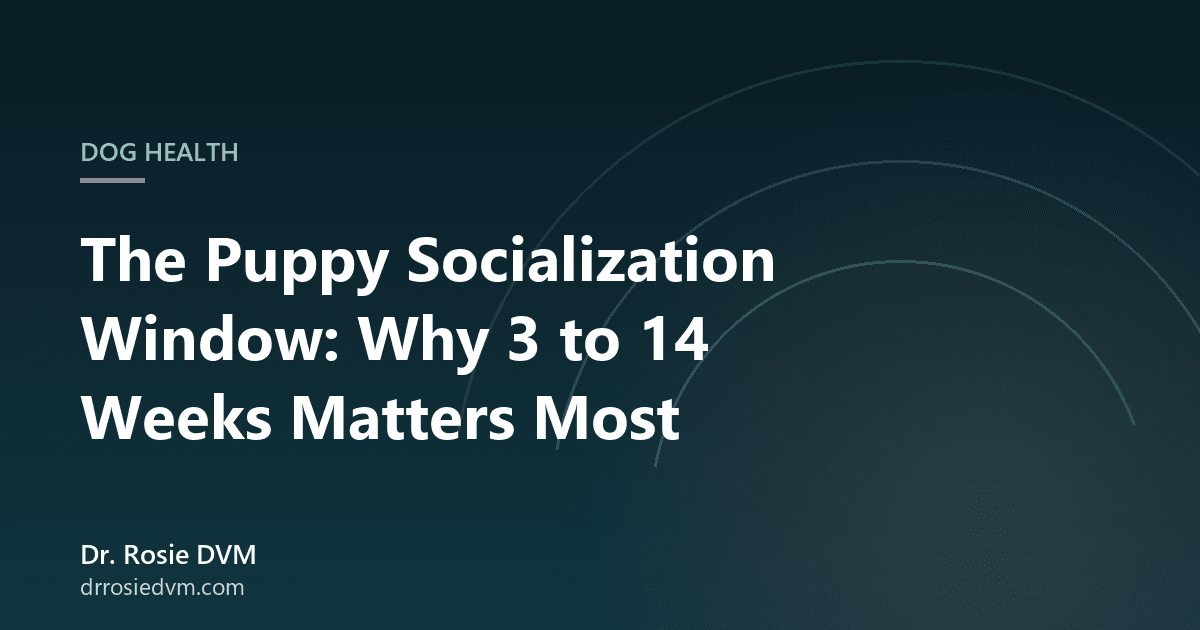 The Puppy Socialization Window: Why 3 to 14 Weeks Matters Most