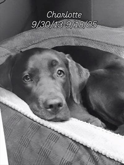 Photo of Charlie